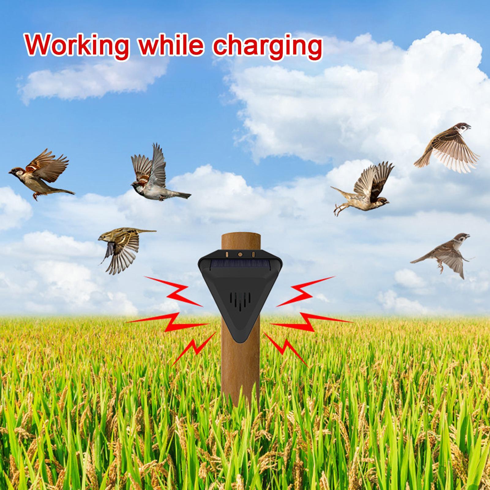 ソーラータイマー鳥よけ装置 13種類の音 防水 鳥よけ 屋外 - Outdoor Power With Timer のレビューと価格